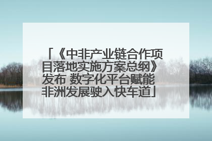 《中非产业链合作项目落地实施方案总纲》发布 数字化平台赋能非洲发展驶入快车道