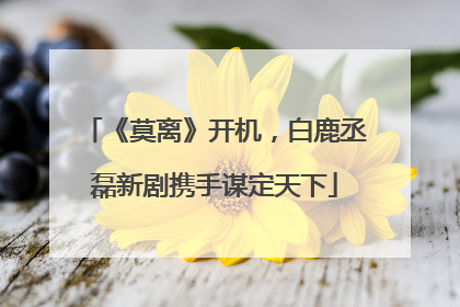 《莫离》开机，白鹿丞磊新剧携手谋定天下
