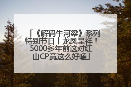 《解码牛河梁》系列特别节目丨龙凤呈祥！5000多年前这对红山CP竟这么好嗑