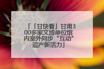 「甘快看」甘肃300多家文博单位馆内室外同步“互动”遗产新活力