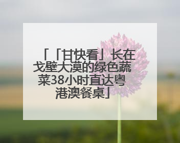 「甘快看」长在戈壁大漠的绿色蔬菜38小时直达粤港澳餐桌