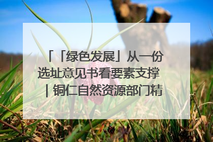 「绿色发展」从一份选址意见书看要素支撑｜铜仁自然资源部门精准服务助力项目落地
