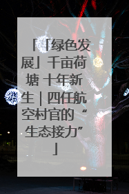 「绿色发展」千亩荷塘 十年新生｜四任航空村官的“生态接力”