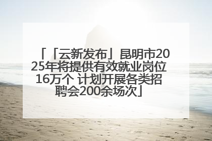 「云新发布」昆明市2025年将提供有效就业岗位16万个 计划开展各类招聘会200余场次