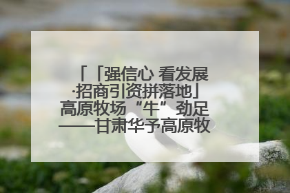 「强信心 看发展·招商引资拼落地」高原牧场“牛”劲足——甘肃华予高原牧场高标准奶牛肉牛养殖项目一线见闻