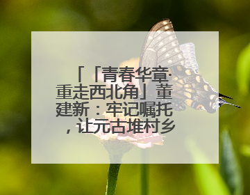 「青春华章·重走西北角」董建新：牢记嘱托，让元古堆村乡亲们日子红火是我最大动力！