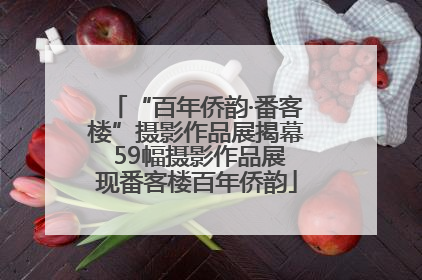 “百年侨韵·番客楼”摄影作品展揭幕 59幅摄影作品展现番客楼百年侨韵