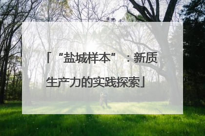 “盐城样本”：新质生产力的实践探索
