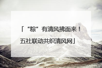 “粽”有清风拂面来！五社联动共织清风网