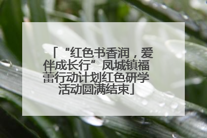 “红色书香润，爱伴成长行”凤城镇福蕾行动计划红色研学活动圆满结束