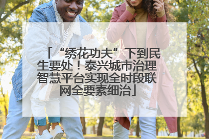 “绣花功夫”下到民生要处！泰兴城市治理智慧平台实现全时段联网全要素细治