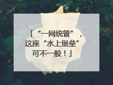 “一网统管”，这座“水上堡垒”可不一般！