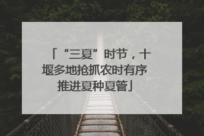 “三夏”时节，十堰多地抢抓农时有序推进夏种夏管