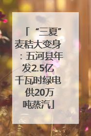 “三夏”麦秸大变身：五河县年发2.5亿千瓦时绿电 供20万吨蒸汽