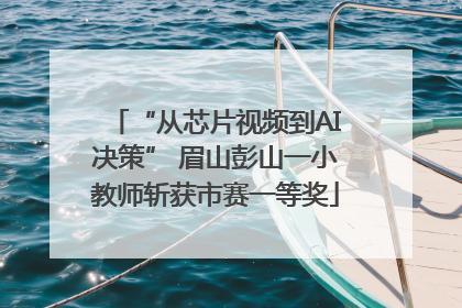 “从芯片视频到AI决策” 眉山彭山一小教师斩获市赛一等奖