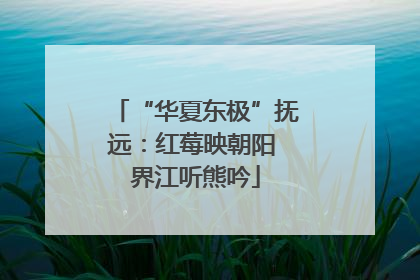 “华夏东极”抚远：红莓映朝阳 界江听熊吟