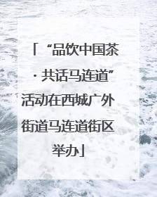 “品饮中国茶・共话马连道”活动在西城广外街道马连道街区举办
