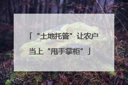 “土地托管”让农户当上“甩手掌柜”
