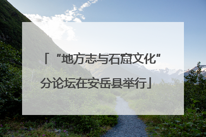“地方志与石窟文化”分论坛在安岳县举行