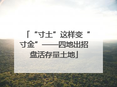“寸土”这样变“寸金”——四地出招盘活存量土地