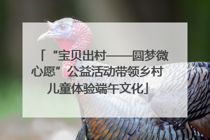 “宝贝出村——圆梦微心愿”公益活动带领乡村儿童体验端午文化