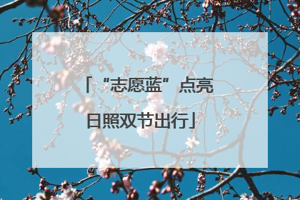“志愿蓝”点亮日照双节出行