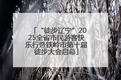 “徒步辽宁”2025全省市民游客快乐行暨铁岭市第十届徒步大会启幕