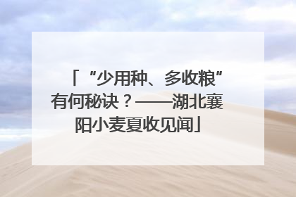 “少用种、多收粮”有何秘诀？——湖北襄阳小麦夏收见闻