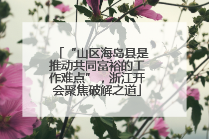 “山区海岛县是推动共同富裕的工作难点”，浙江开会聚焦破解之道