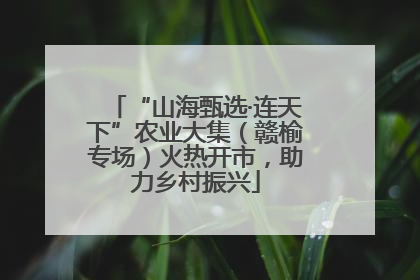 “山海甄选·连天下”农业大集（赣榆专场）火热开市，助力乡村振兴