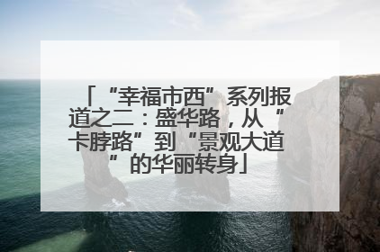 “幸福市西”系列报道之二：盛华路，从“卡脖路”到“景观大道”的华丽转身