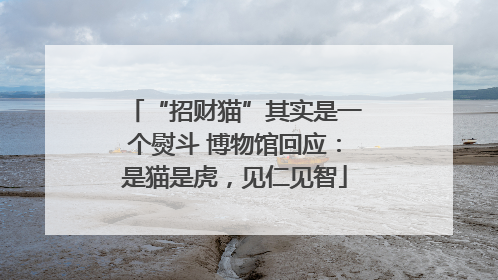 “招财猫”其实是一个熨斗 博物馆回应：是猫是虎，见仁见智