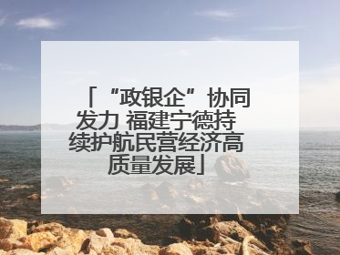 “政银企”协同发力 福建宁德持续护航民营经济高质量发展