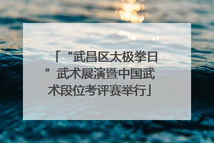 “武昌区太极拳日”武术展演暨中国武术段位考评赛举行