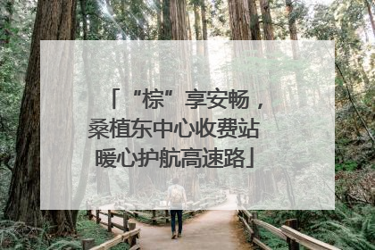 “棕”享安畅，桑植东中心收费站暖心护航高速路
