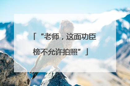“老师，这面功臣榜不允许拍照”