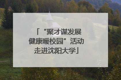 “聚才谋发展 健康暖校园”活动走进沈阳大学