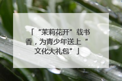 “茉莉花开”载书香，为青少年送上“文化大礼包”