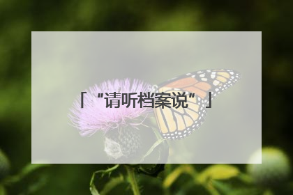 “请听档案说”