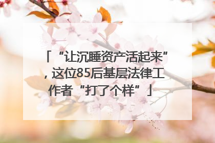 “让沉睡资产活起来”，这位85后基层法律工作者“打了个样”