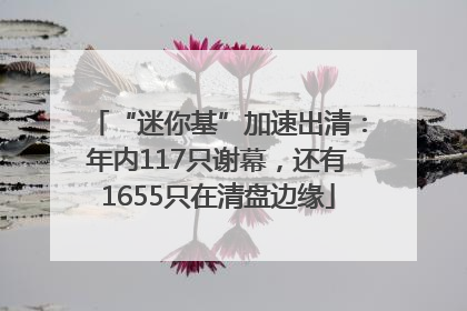“迷你基”加速出清：年内117只谢幕，还有1655只在清盘边缘