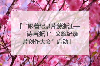 “跟着纪录片游浙江——‘诗画浙江’文旅纪录片创作大会”启动