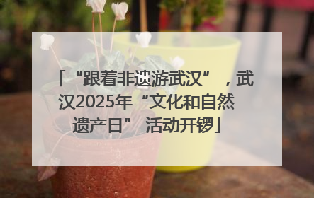 “跟着非遗游武汉”，武汉2025年“文化和自然遗产日” 活动开锣
