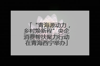 “青海源动力，乡村焕新程”央企消费帮扶聚力行动在青海西宁举办