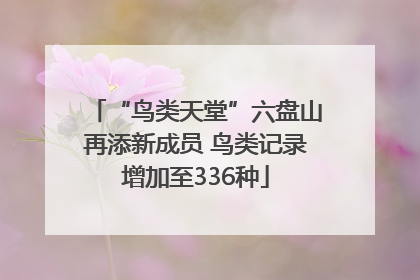 “鸟类天堂”六盘山再添新成员 鸟类记录增加至336种