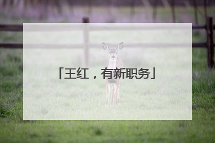 王红，有新职务