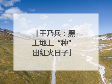 王乃兵：黑土地上“种”出红火日子