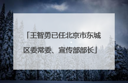 王智勇已任北京市东城区委常委、宣传部部长