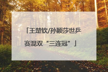 王楚钦/孙颖莎世乒赛混双“三连冠”