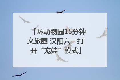 环动物园15分钟文旅圈 汉阳六一打开“宠娃”模式